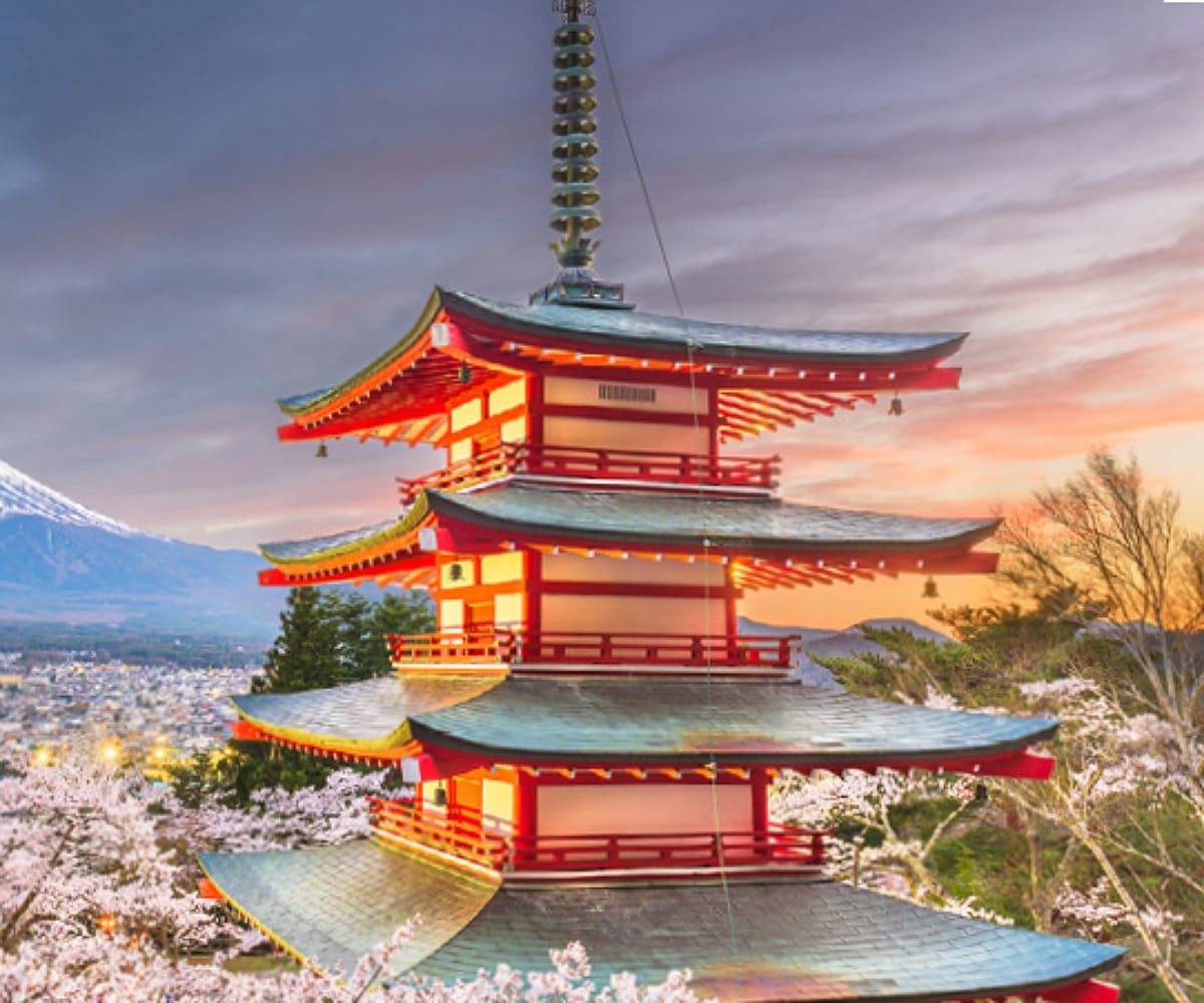 International students experiencing top-tier education and rich cultural traditions in Japa